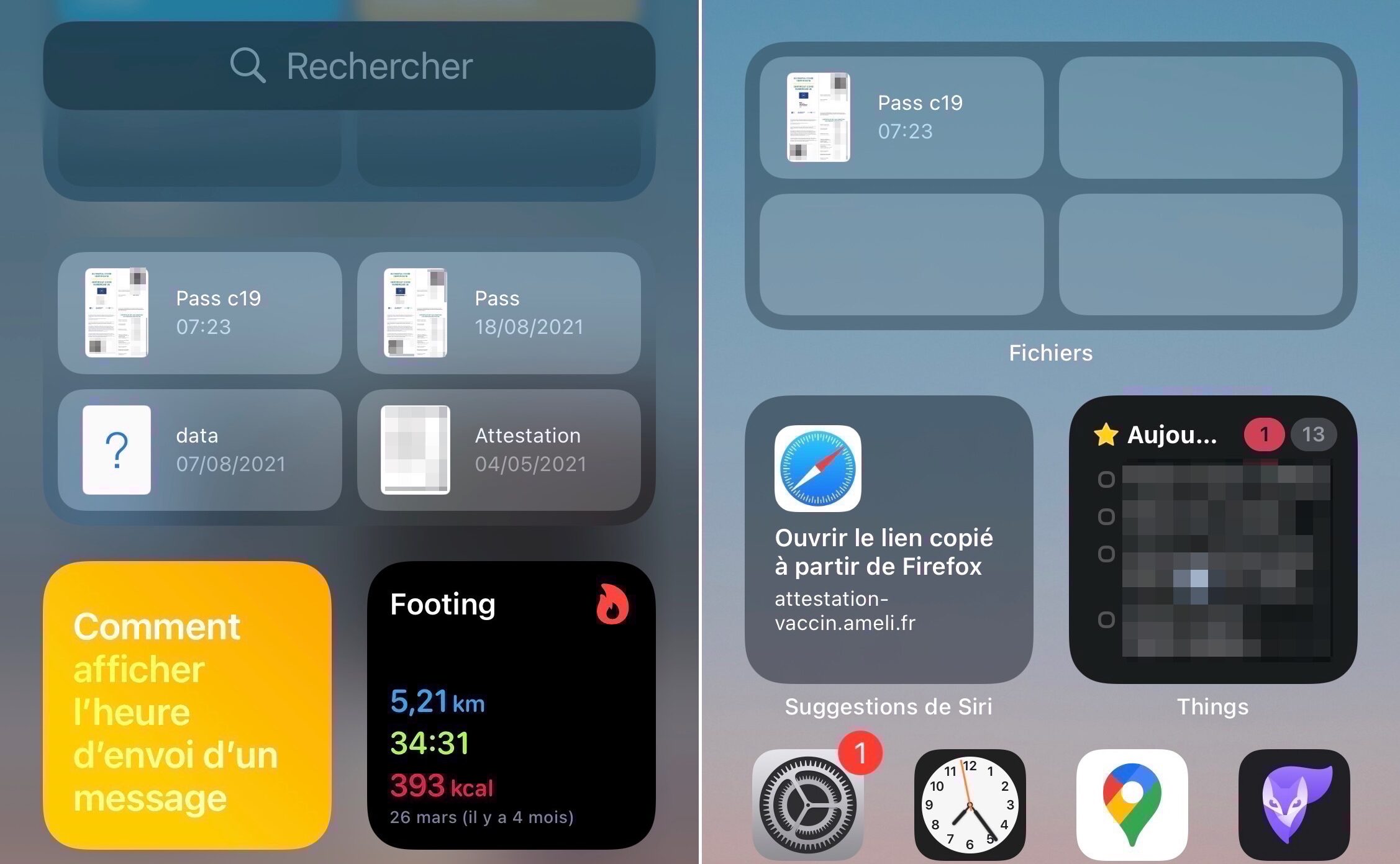 Pass sanitaire app Fichiers