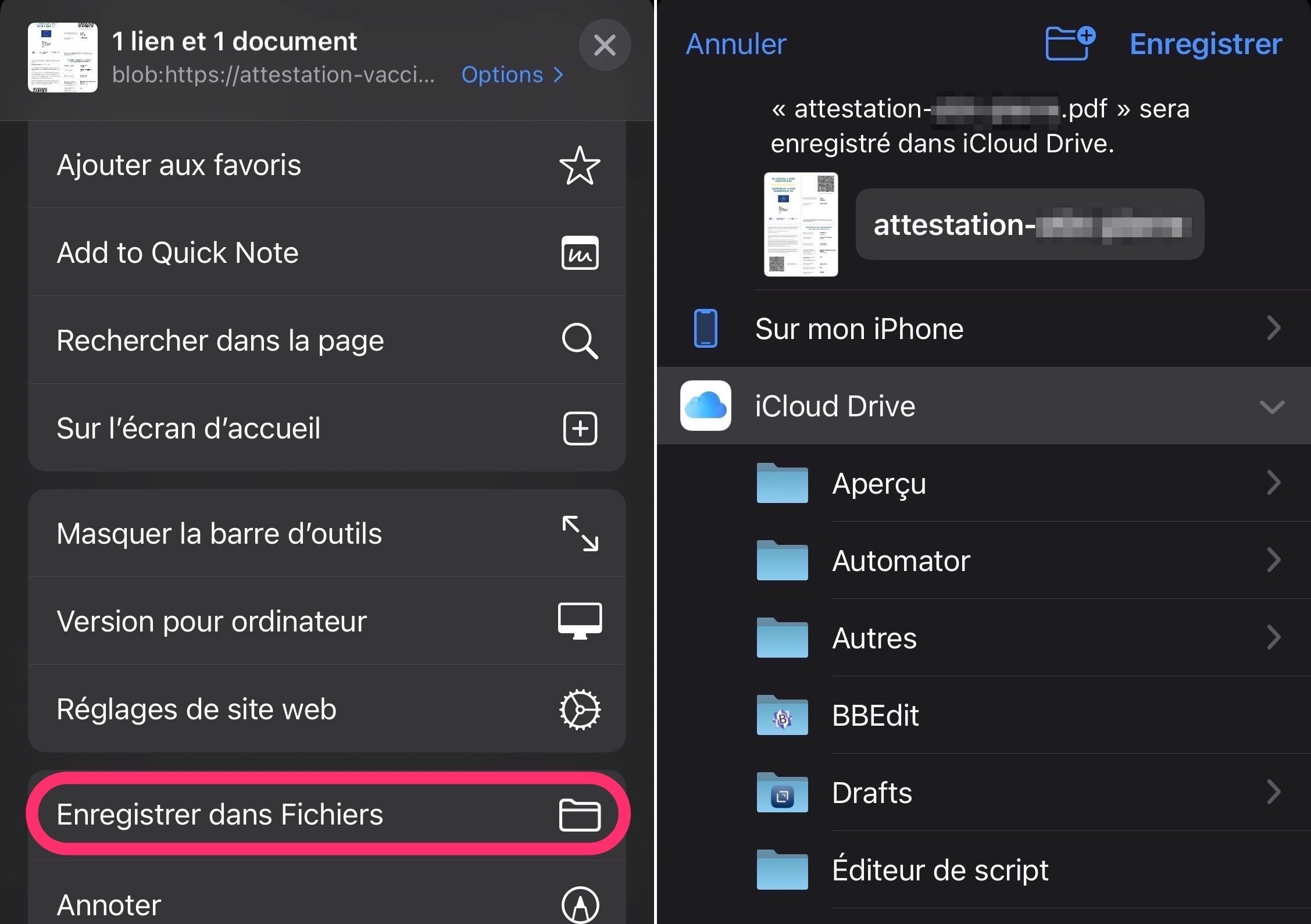 Pass sanitaire COVID-19 app Fichiers