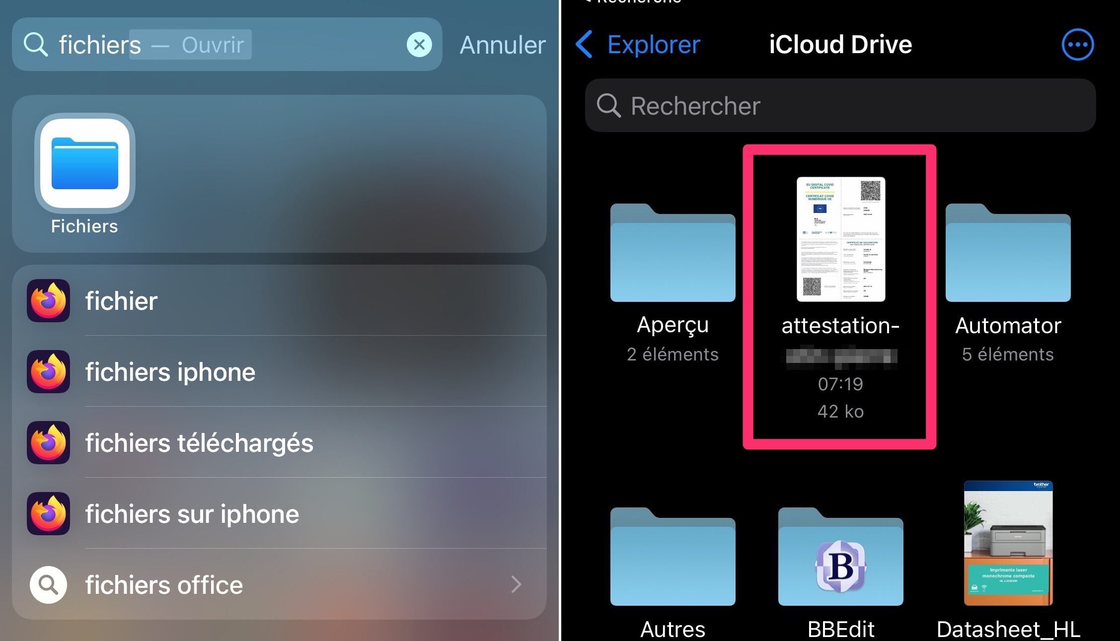 Pass sanitaire coronavirus app Fichiers