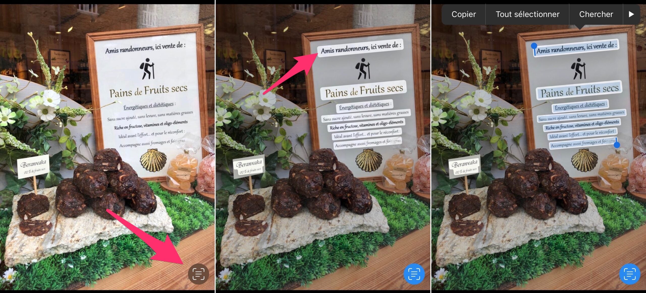 tutorial Live Texte iOS 15