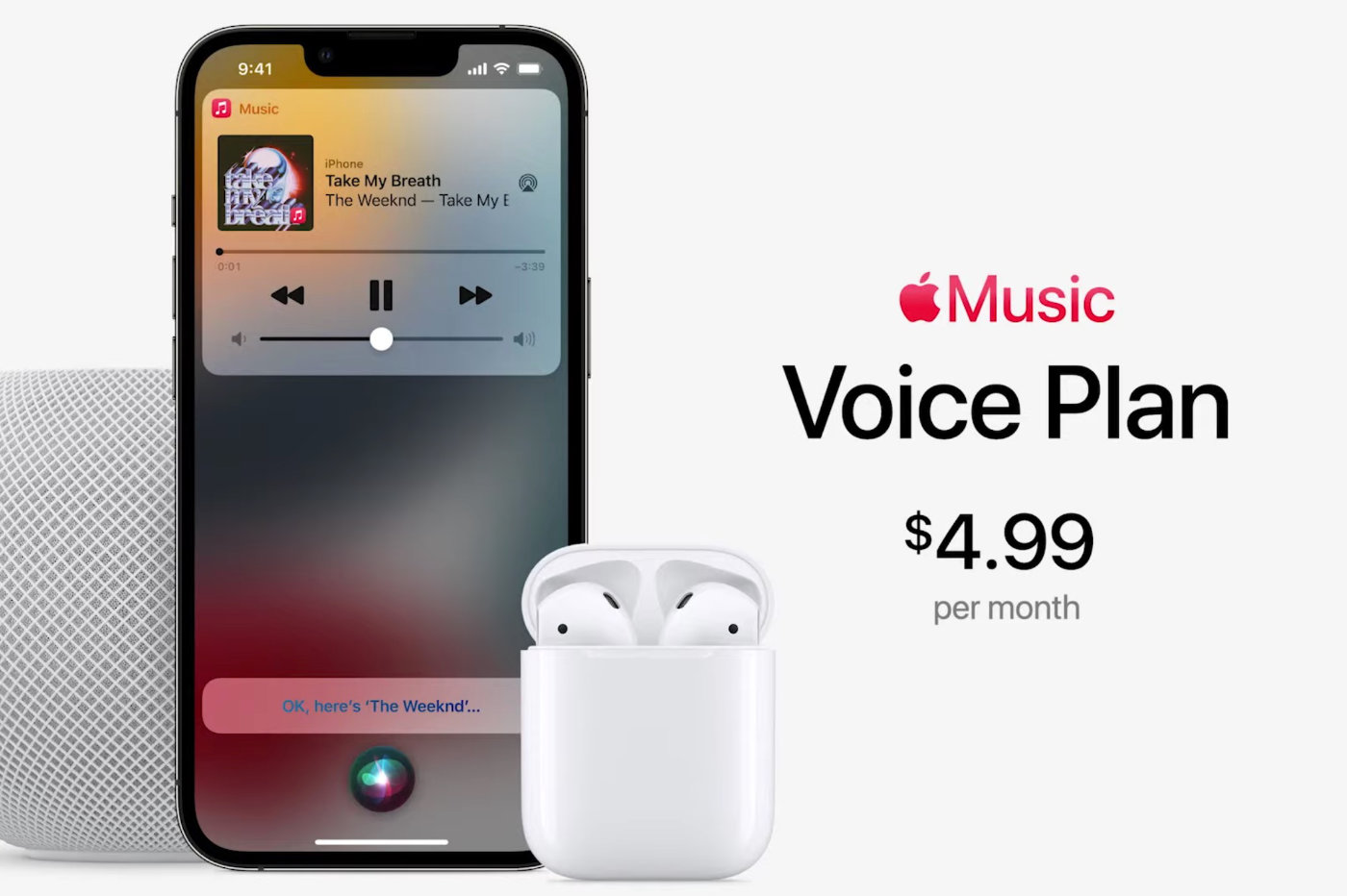 Apple Music Voice Plan