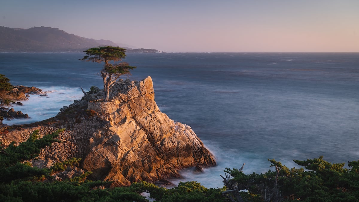 Monterey Photo Wallpaper