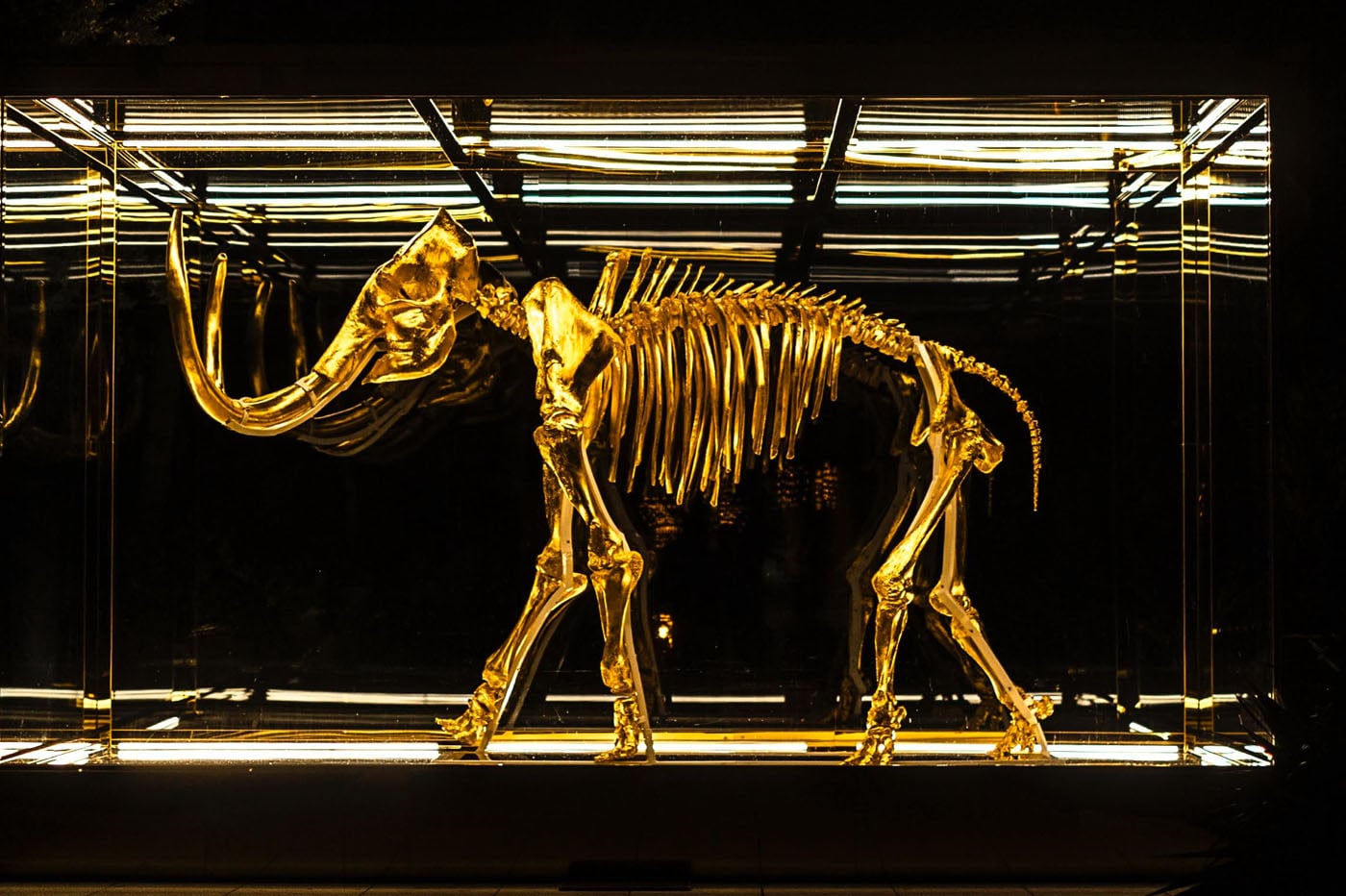 mammoth