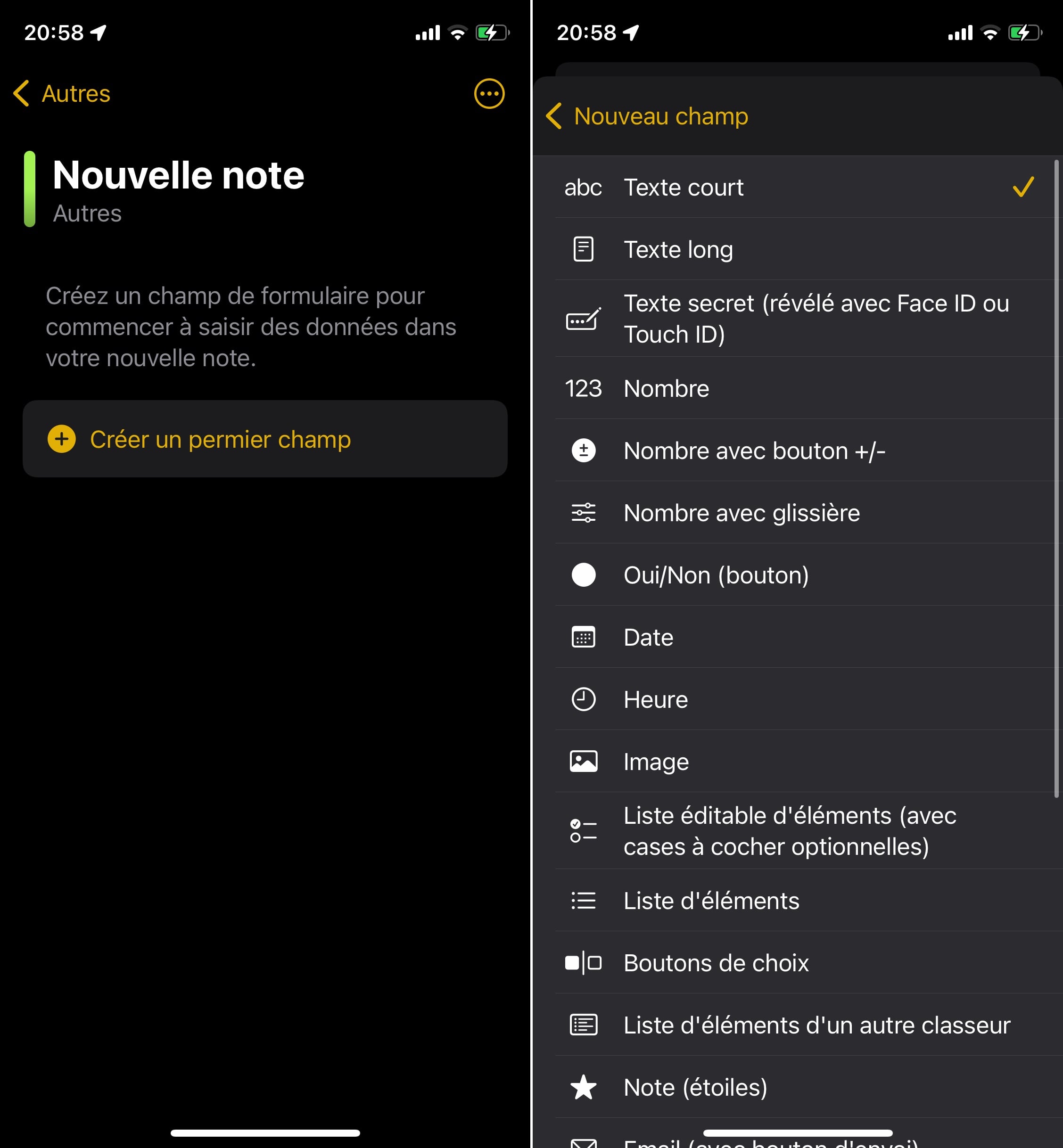 Application de prise de notes Formbook et champs