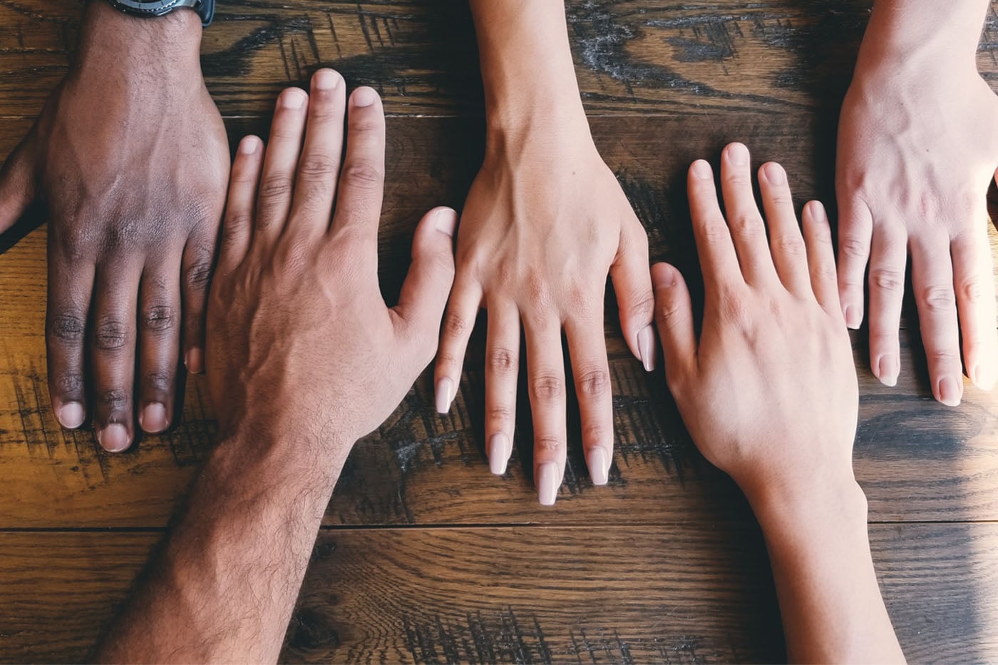 diversité