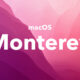 macOS Monterey version 12.4 fond rose