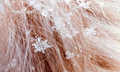 Shot on iPhone macro challenge