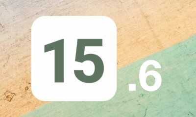iOS 15.6 fond vert brun