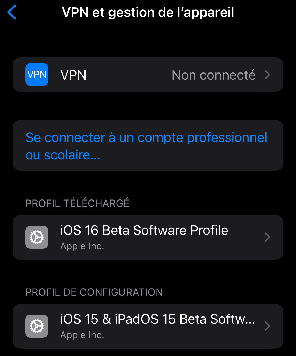 iOS 15 and 16 Beta Versions