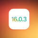 iOS 16.0.3