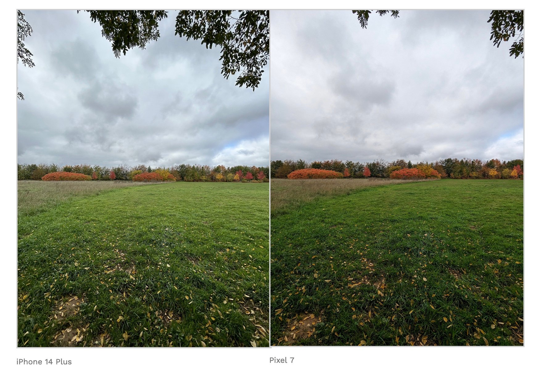 Pixel 7 VS iPhone 14 ultra grand-angle