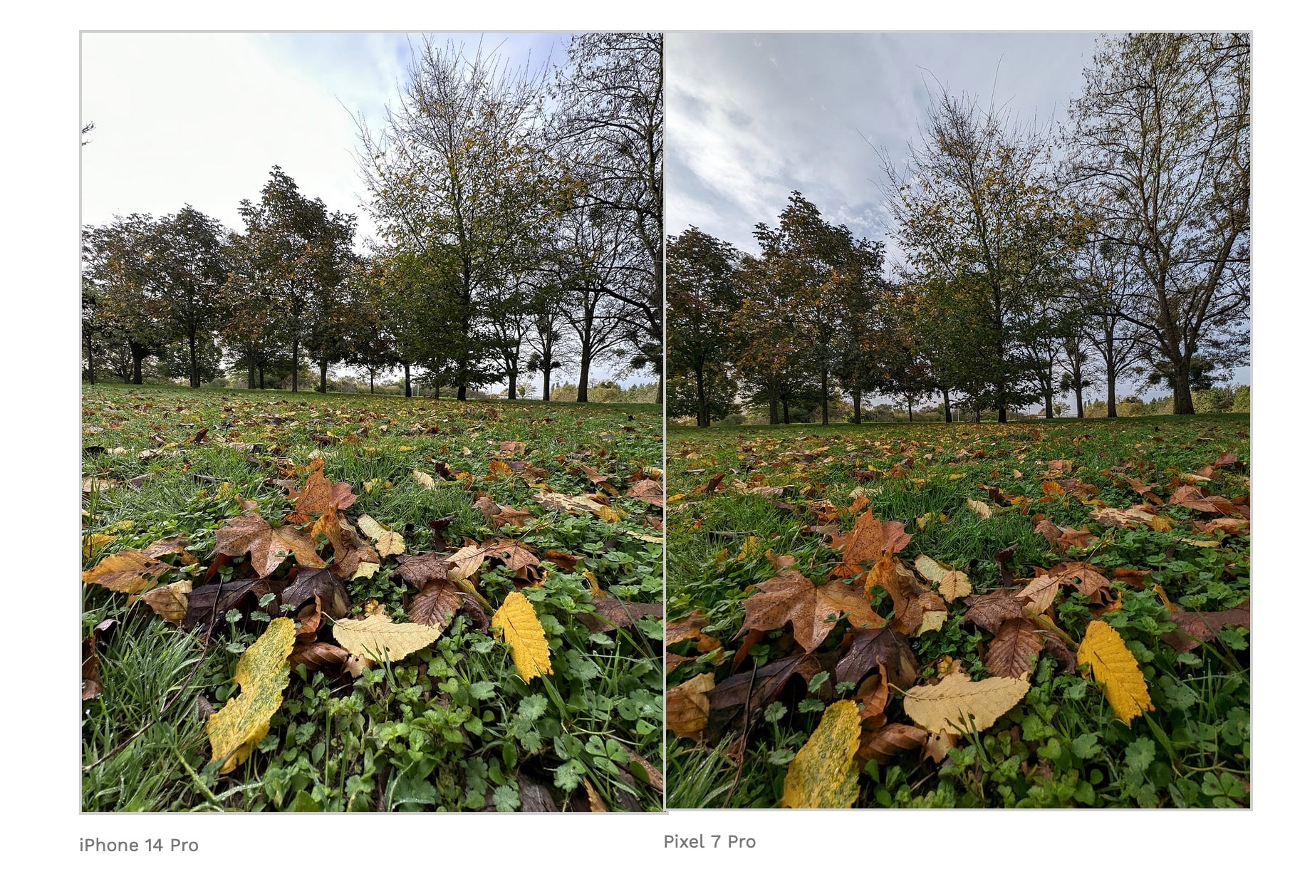 Google Pixel 7 Pro VS iPhone 14 Pro : le comparatif photo