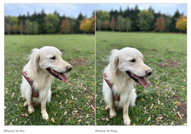 mode Portrait iPhone 14 Pro VS iPhone 14
