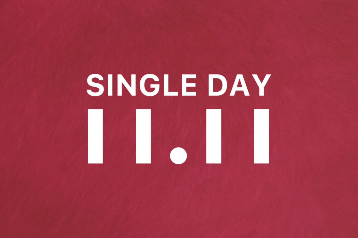 Single Day 11-11