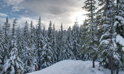 colombie britannique