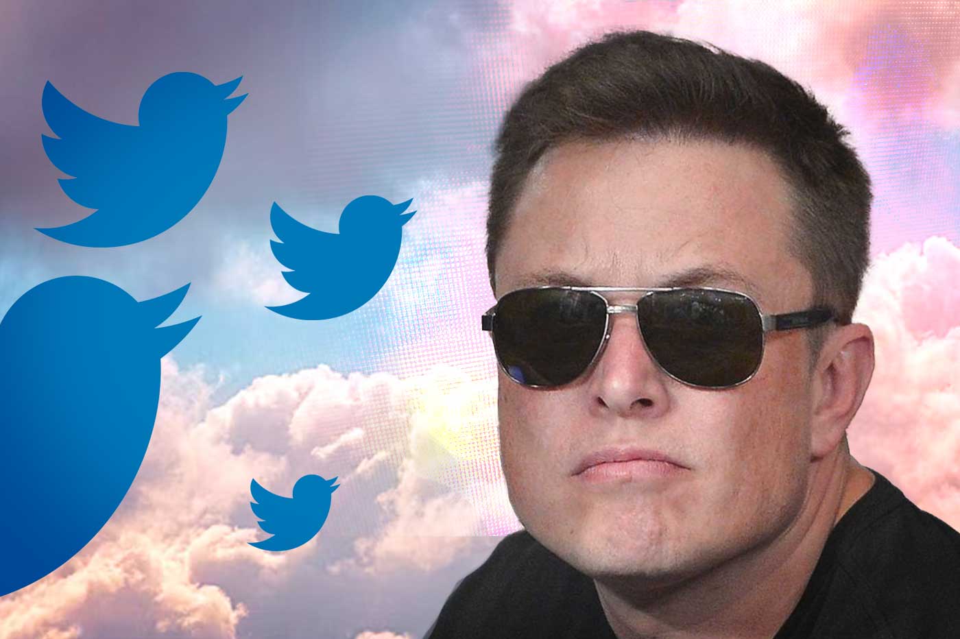 Elon Musk dévoile une vérité gênante pour Twitter