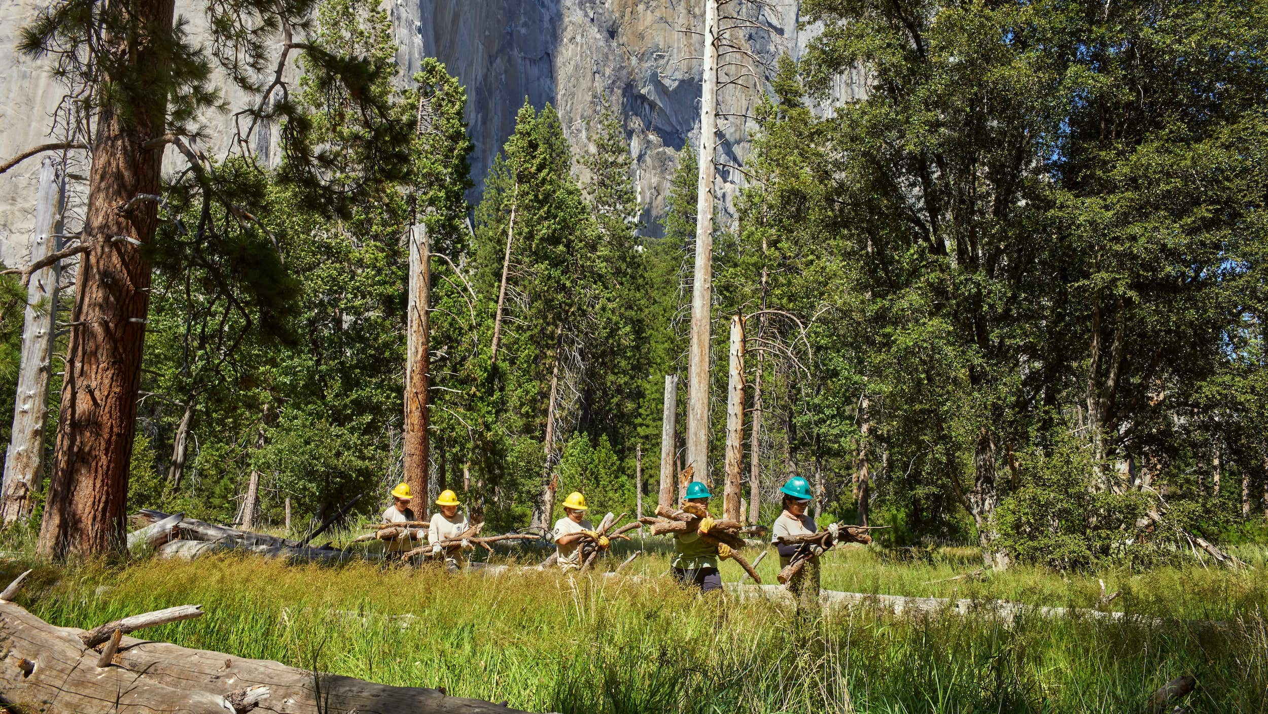 Parc national Yosemite