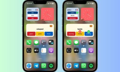 widget langue Pixel Pals