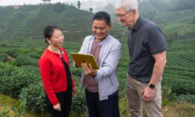 Tim cook chine