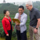 Tim cook chine