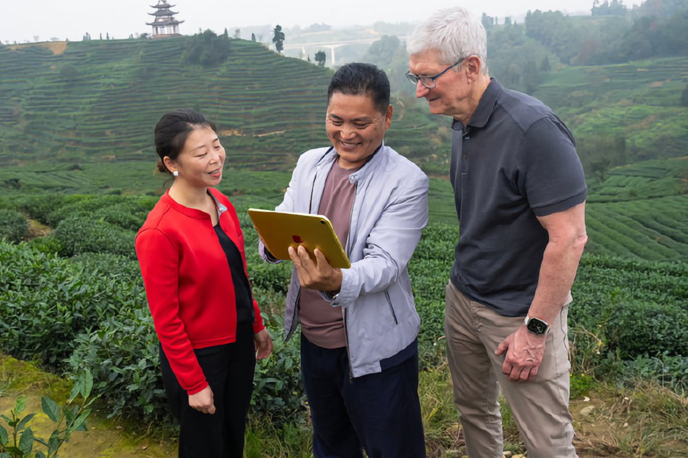 Tim cook chine