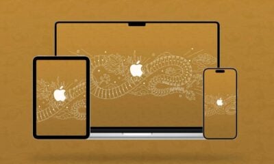 Basic Apple Guy fond d'écran iPhone année du dragon