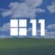 Windows 11