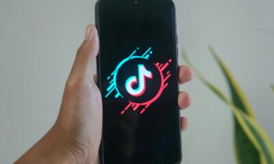 Mourizal zativa unsplash