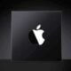 Apple silicon