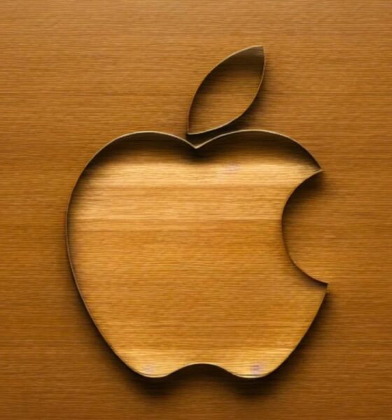 Pomme apple