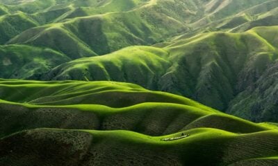 Collines montagnes vertes