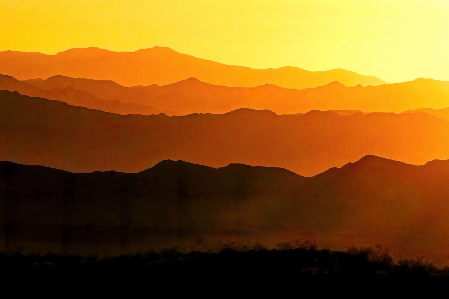 Désert Mojave