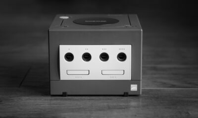 écologie environnement planète