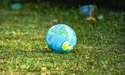 écologie environnement planète