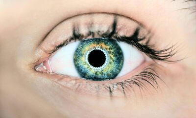 Yeux regard eye tracking