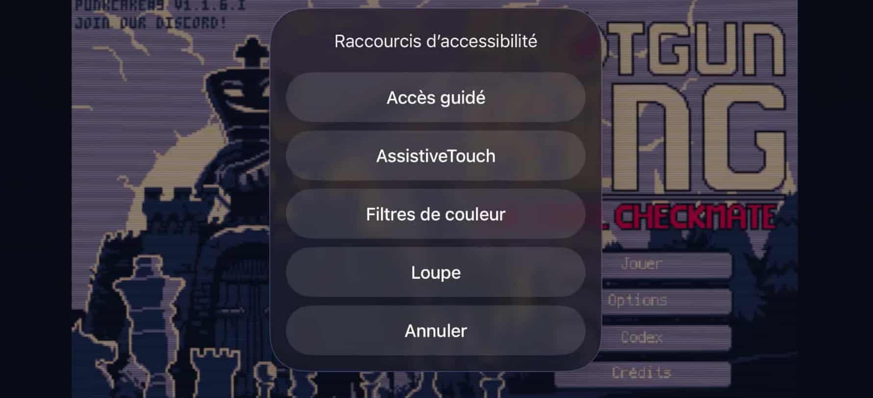 Lancement Accès guidé