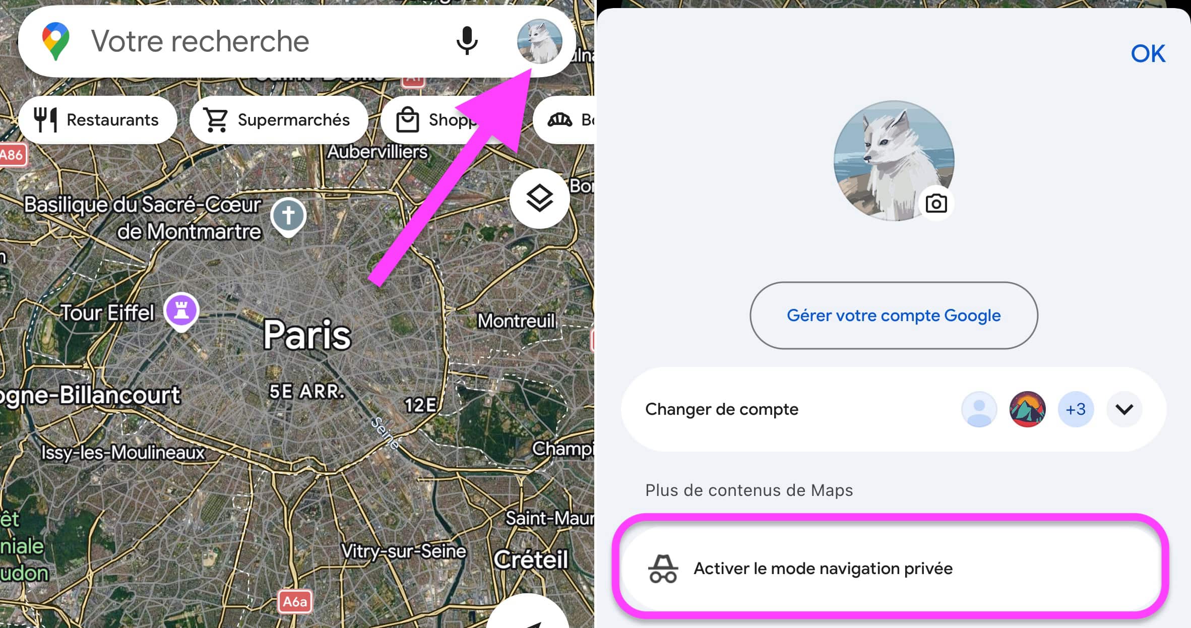 Google Maps navigation privée