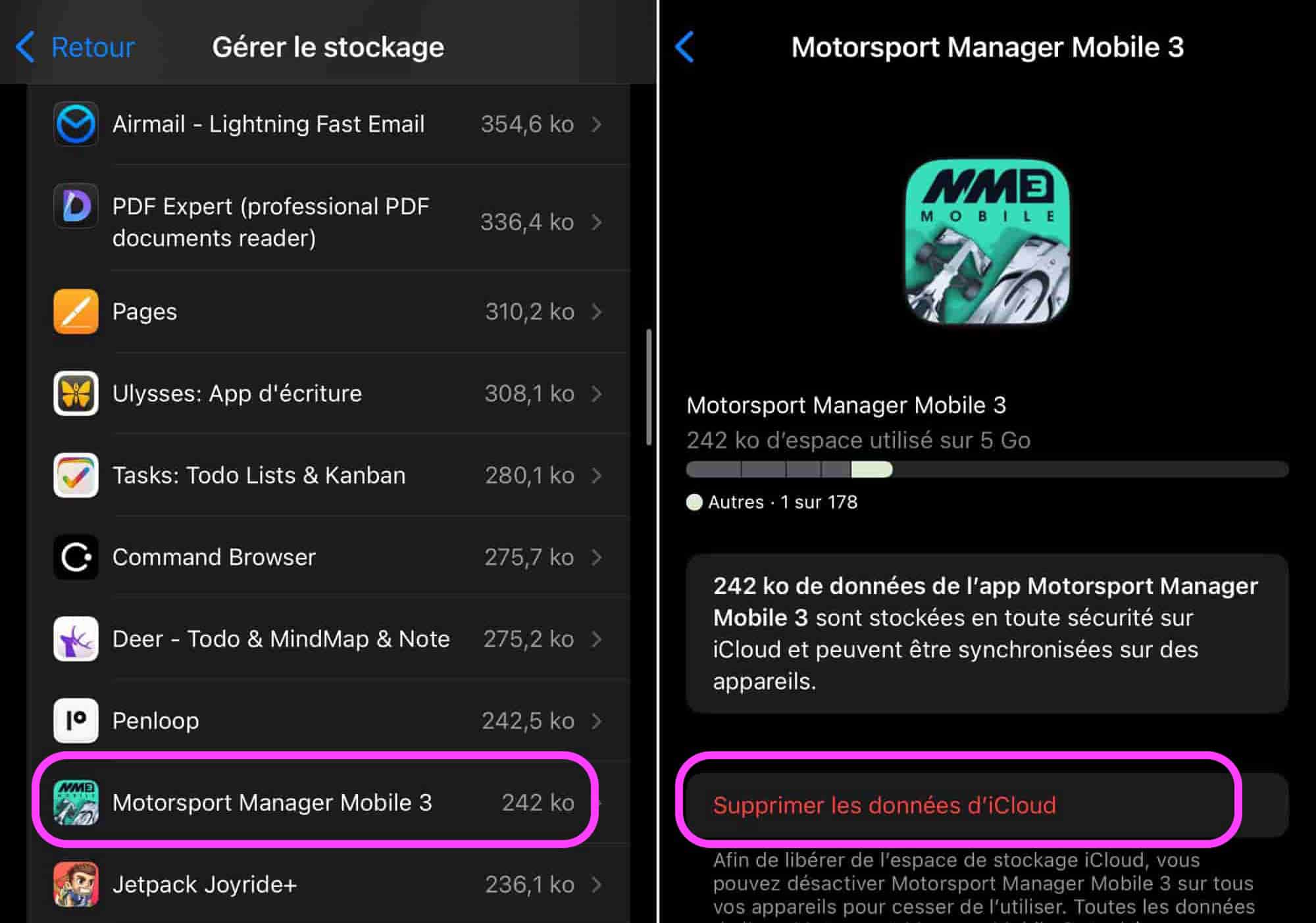 Supprimer données app iCloud