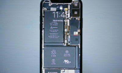 Apple iPhone puce