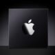 Puce apple silicon logo apple