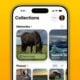 Photos app iOS 26