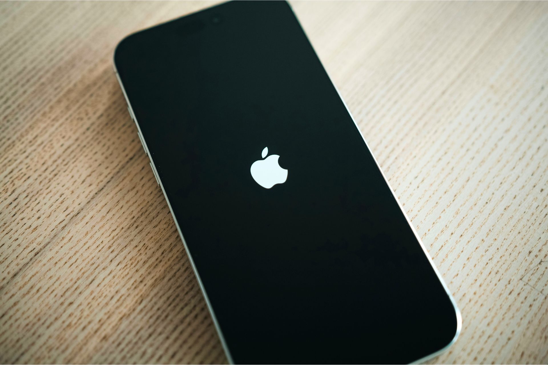 iPhone logo apple (2)