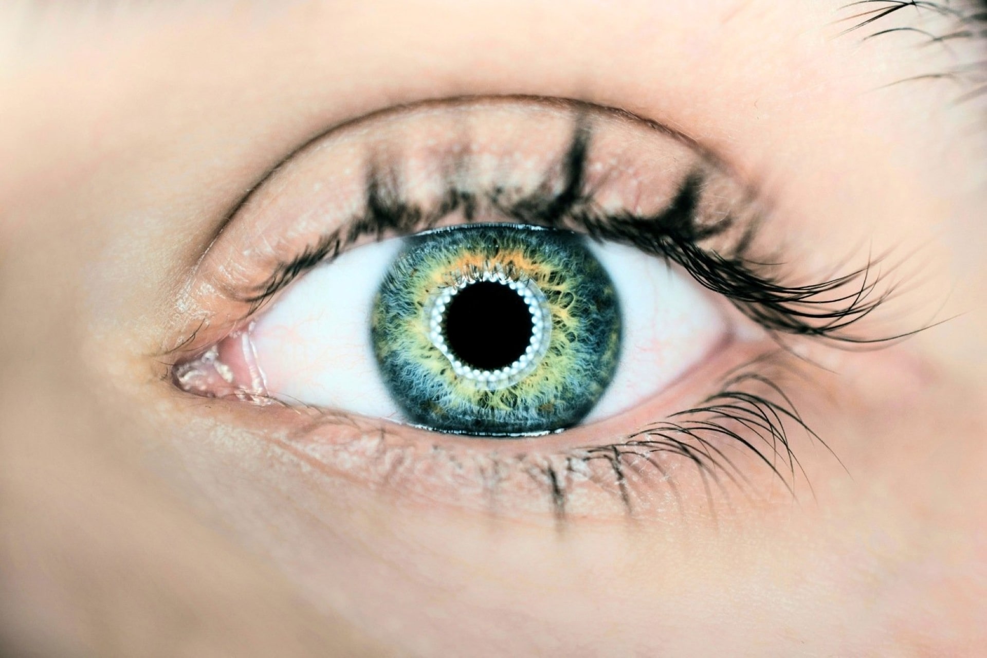 Yeux regard eye tracking min