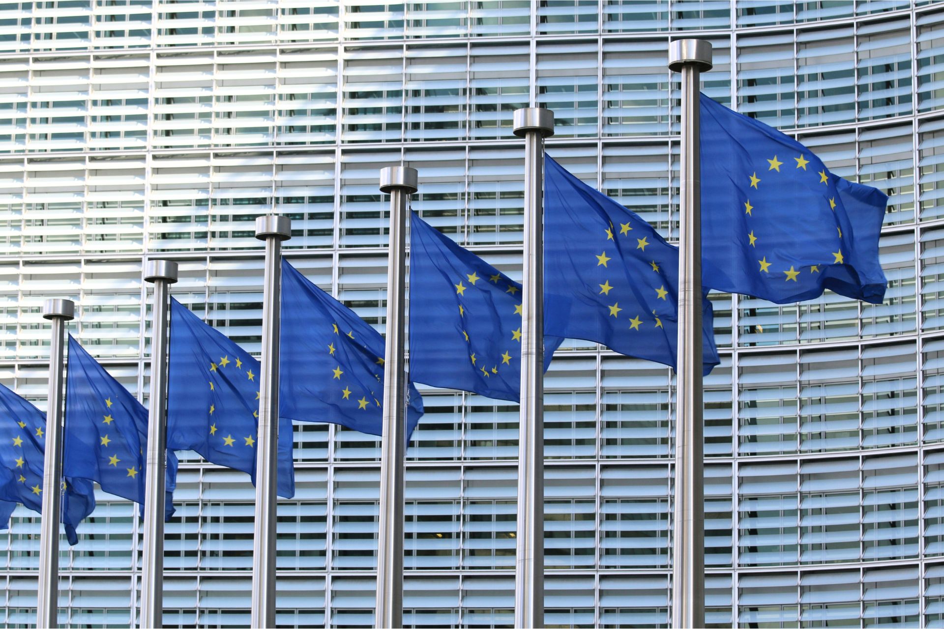 Drapeau Europe (3)
