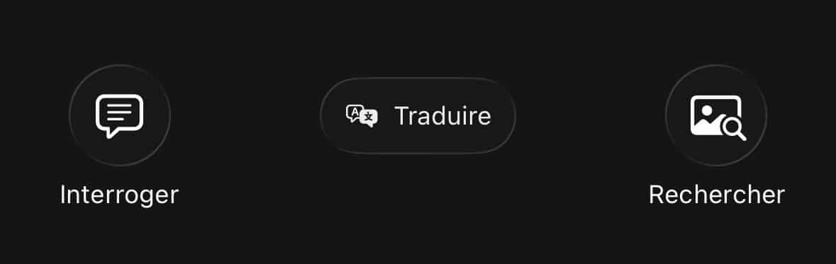 Visual Intelligence Traduire