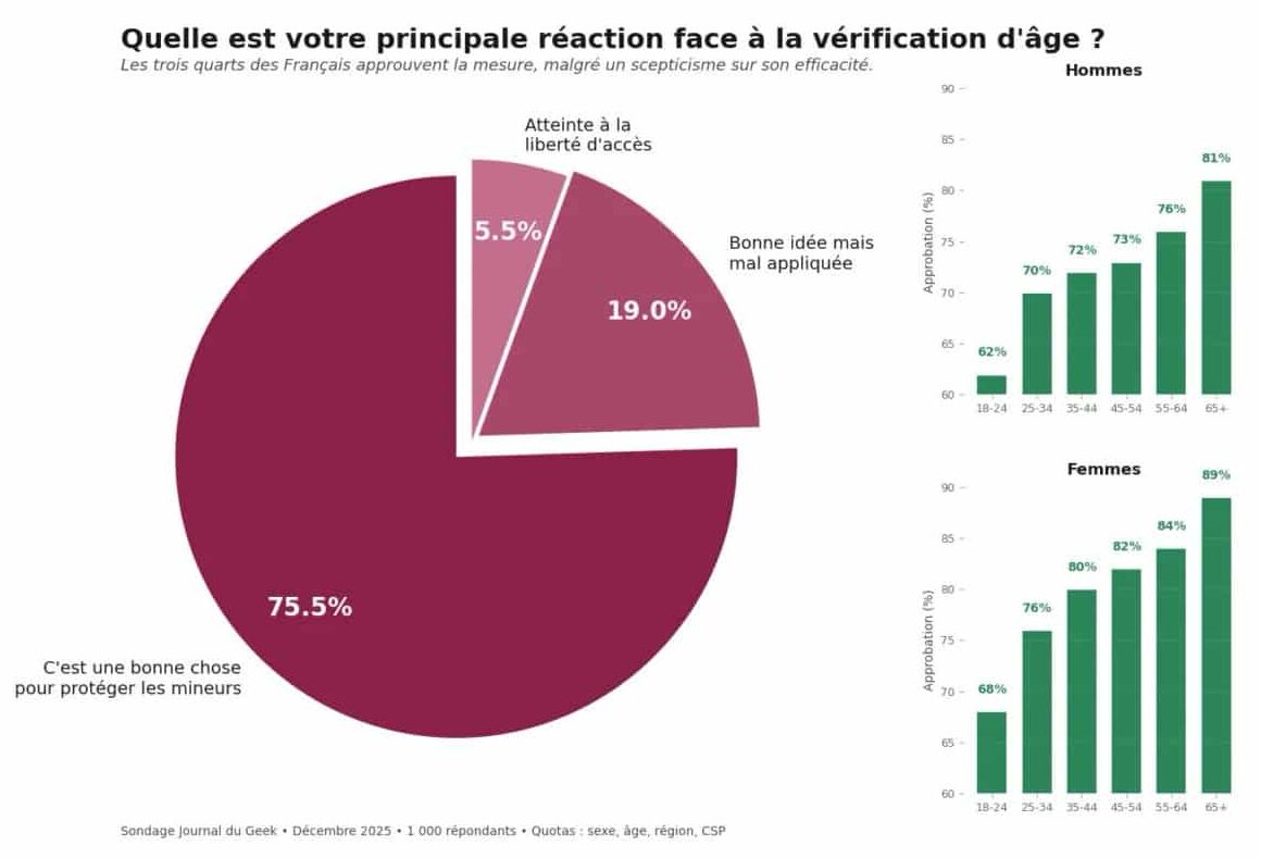 Vérification âge pornographie et réaction