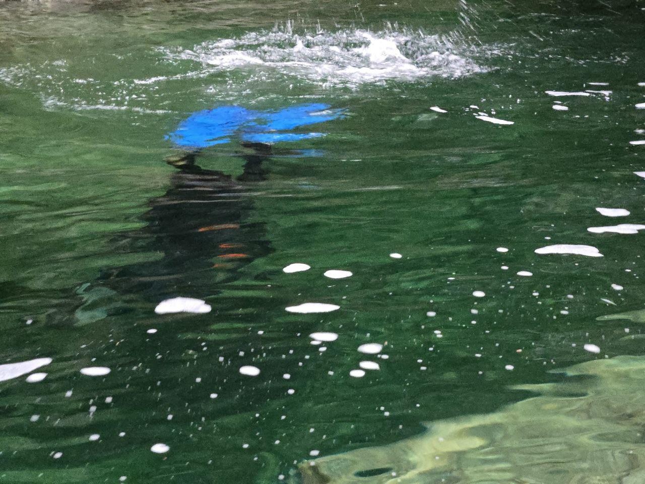 Plongeur recupere iPhone 16 sous l'eau