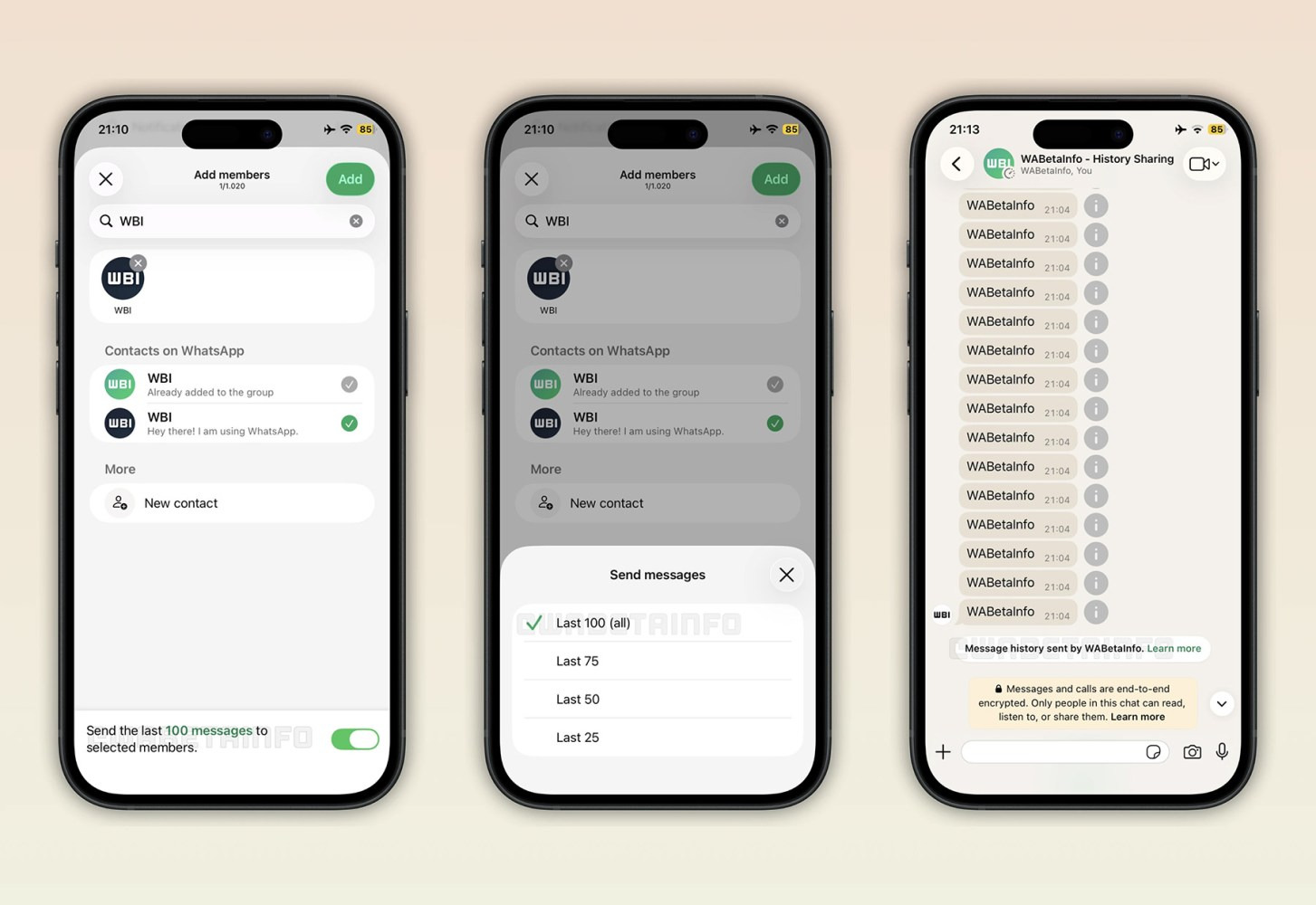 Whatsapp chat history