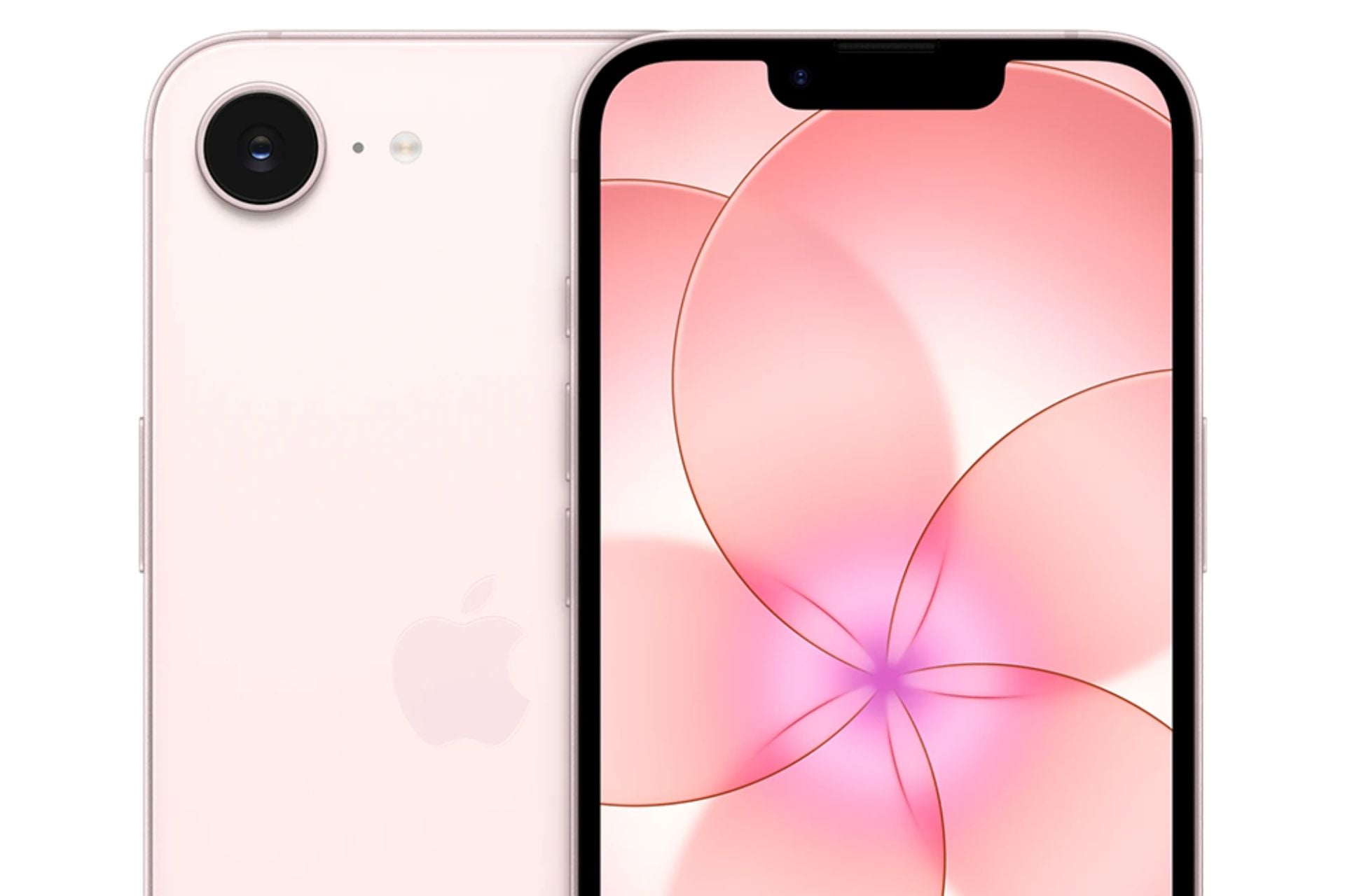 iPhone 17e rose