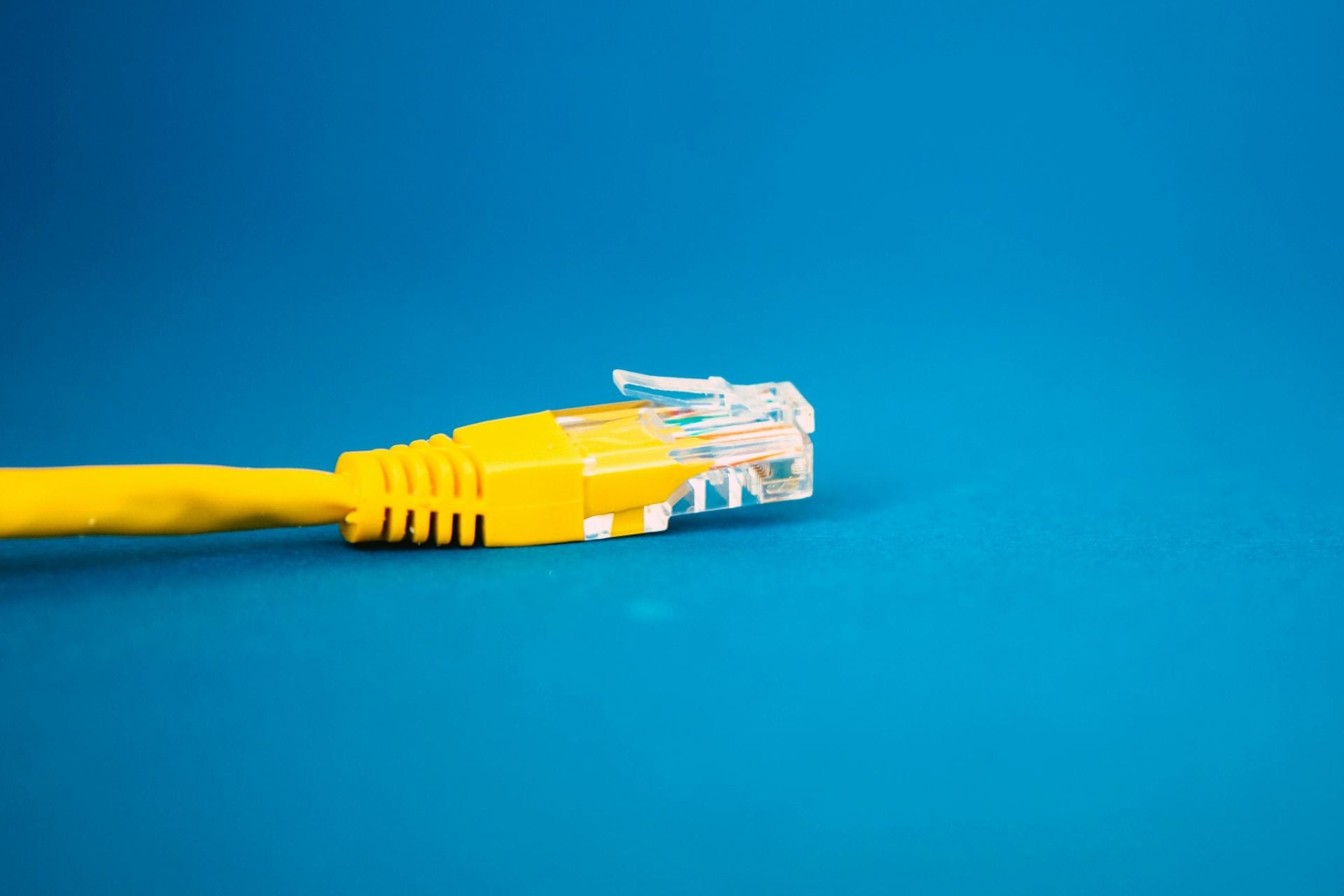 Câble ethernet (2)
